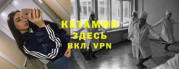 сатива Бородино