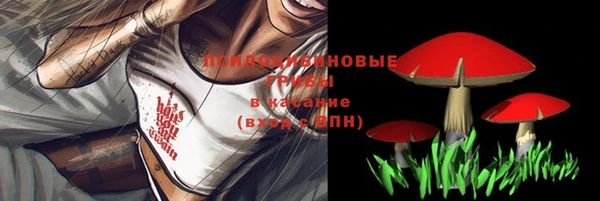 ECSTASY Белокуриха