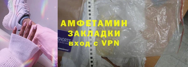 сатива Бородино