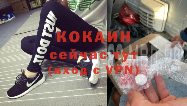 сатива Бородино