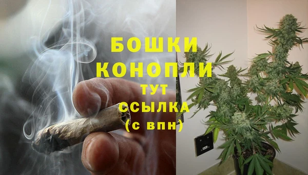 стафф Богданович