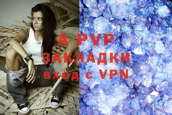 ECSTASY Белокуриха
